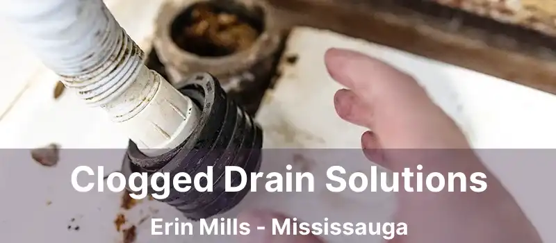  Clogged Drain Solutions Erin Mills - Mississauga