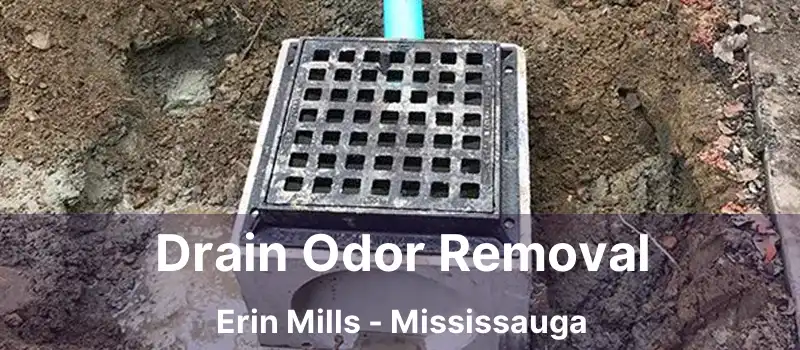 Drain Odor Removal Erin Mills - Mississauga