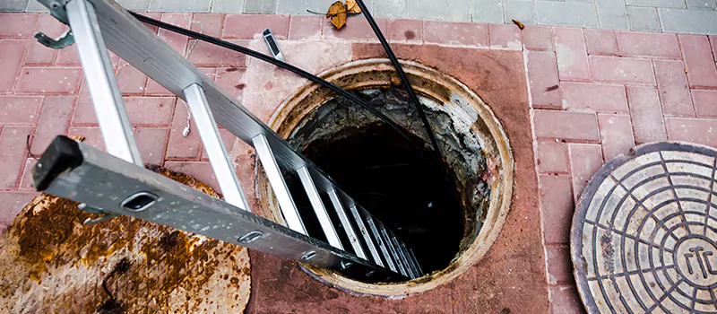 Emergency Sewer Replacement Services in Erin Mills, Mississauga
